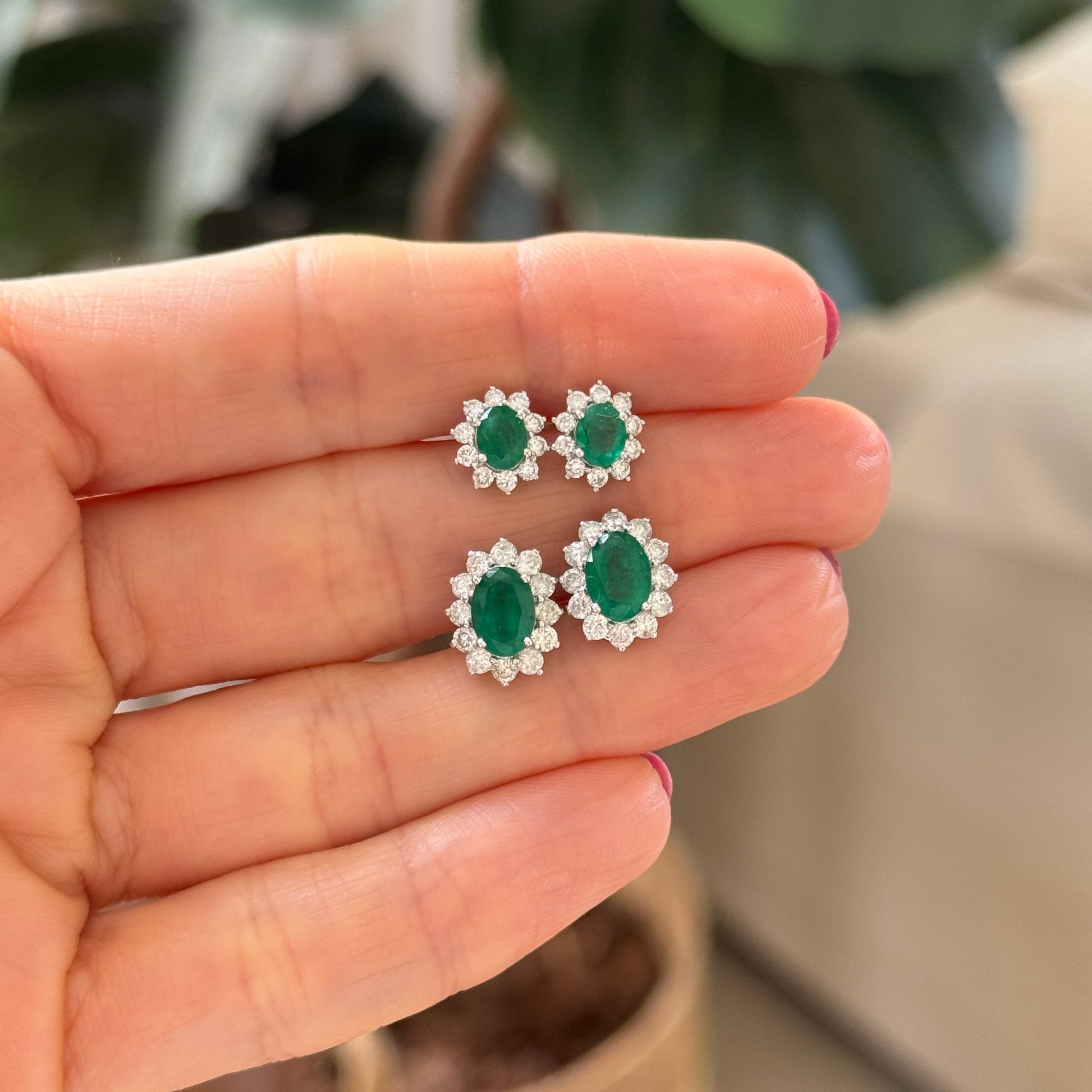 Brinco Classic Oval P